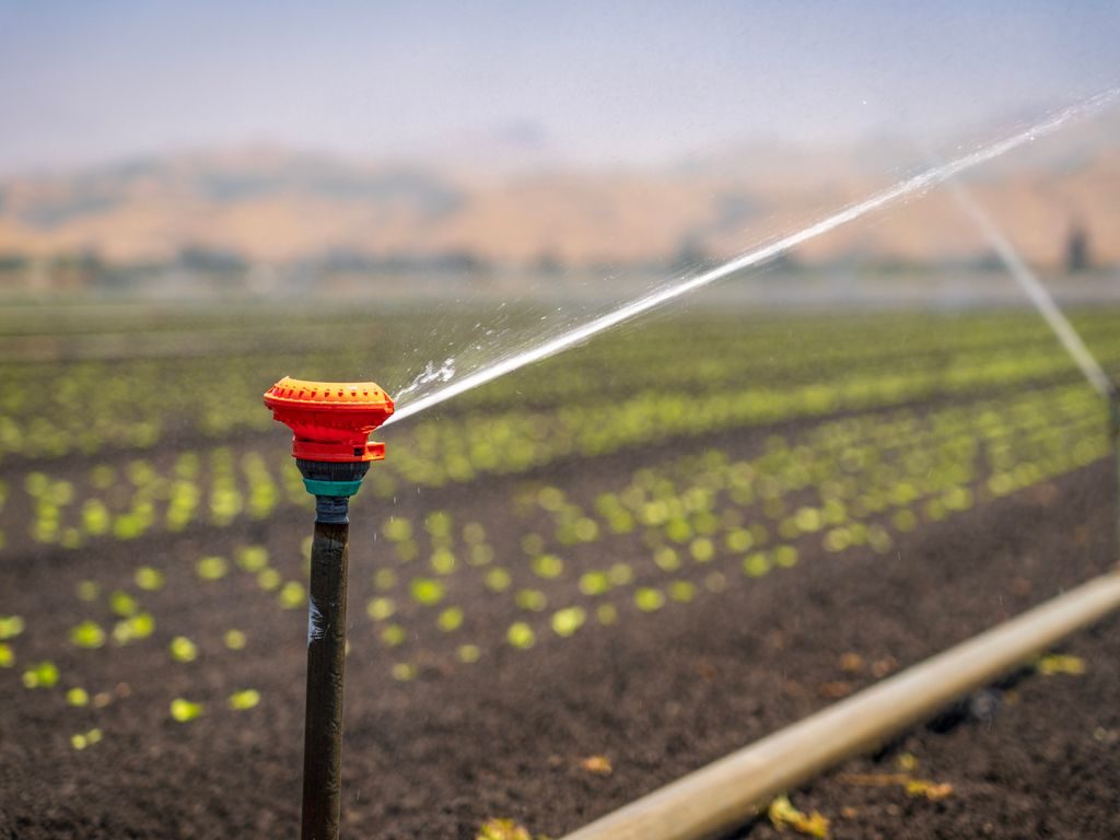 Irrigation spring sample 2 manufactured by Springtec Zimbabwe