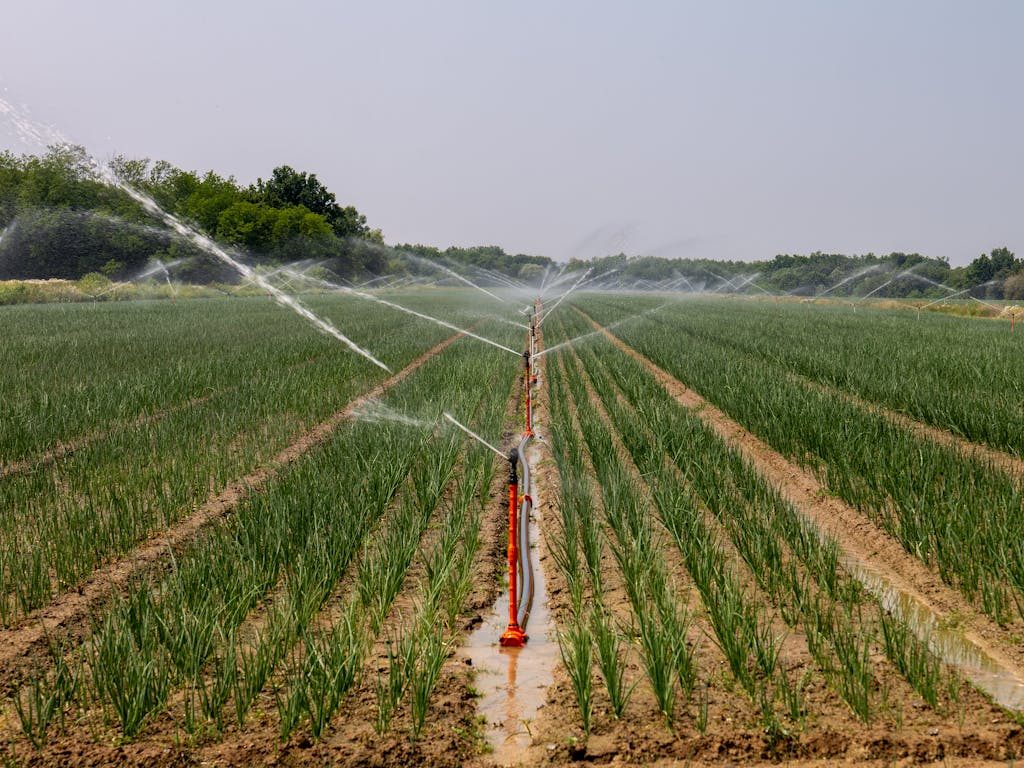 Irrigation spring sample 5 manufactured by Springtec Zimbabwe