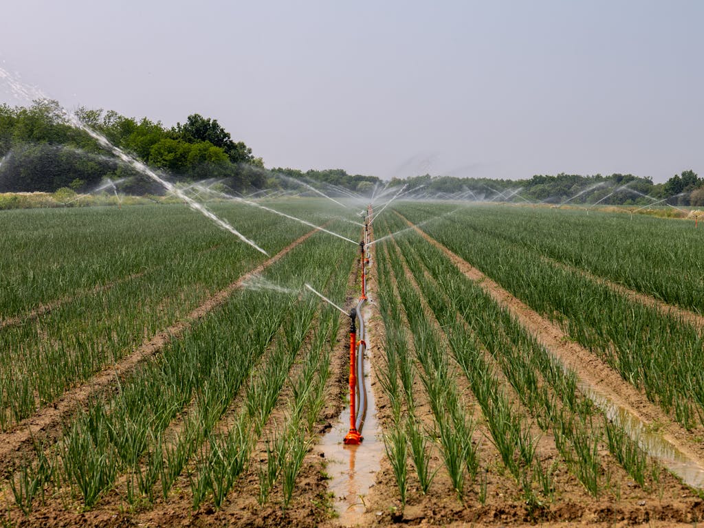 Irrigation spring sample 5 manufactured by Springtec Zimbabwe